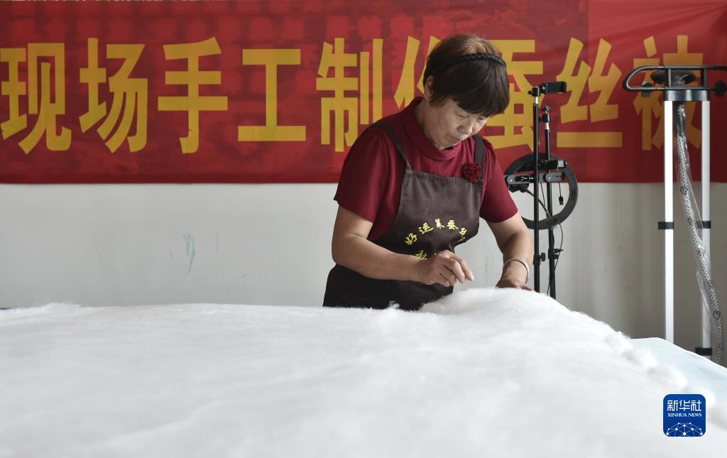大宝lg娱乐网站